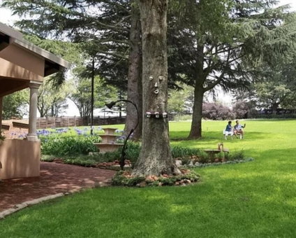 Drinkwater Guest Farm, Ermelo, South Africa