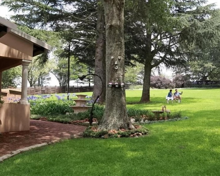 Drinkwater Guest Farm, Ermelo, South Africa