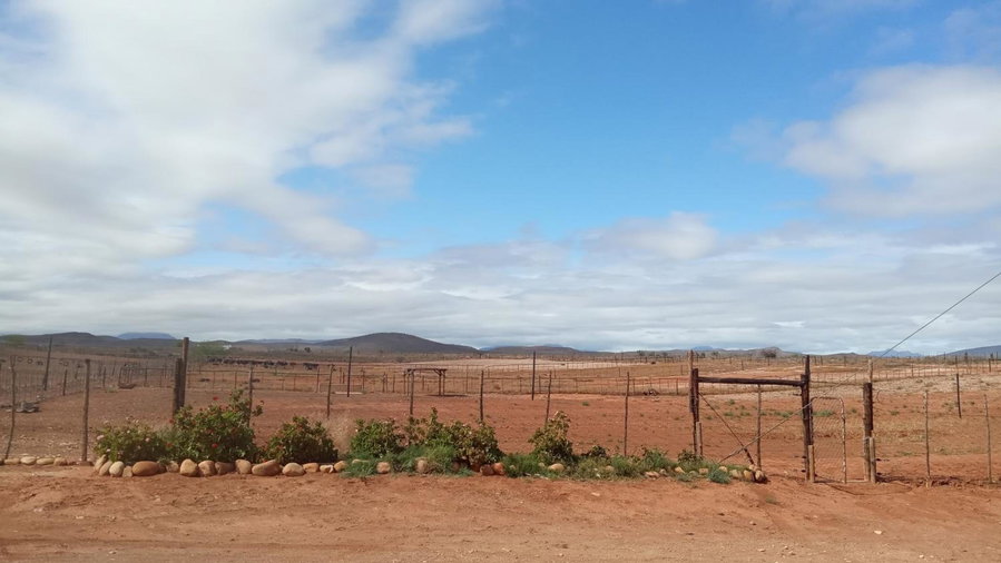 PurePlaas Self catering Volmoed Oudtshoorn Klein Karoo, Oudtshoorn, South Africa