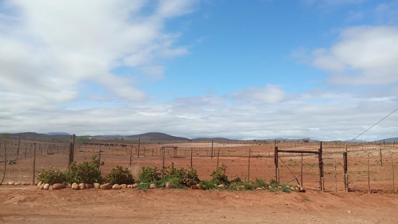 PurePlaas Self catering Volmoed Oudtshoorn Klein Karoo, Oudtshoorn, South Africa