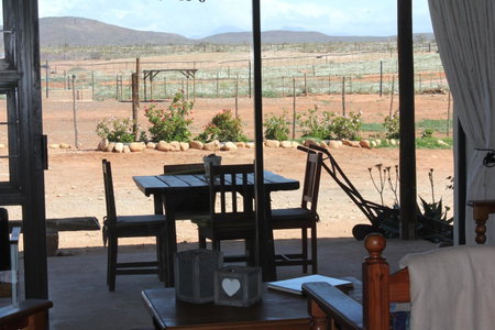 PurePlaas Self catering Volmoed Oudtshoorn Klein Karoo, Oudtshoorn, South Africa