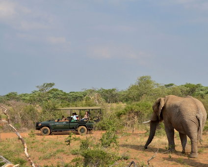 Mabula Game Lodge, Bela-Bela, South Africa