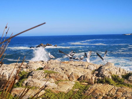 Troon Beach Cottage Hermanus, Hermanus, South Africa