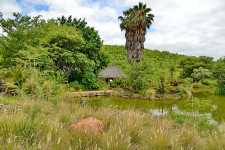 Royal Morubisi Founder's Lodge, Kaingo Private Game Reserve, South Africa