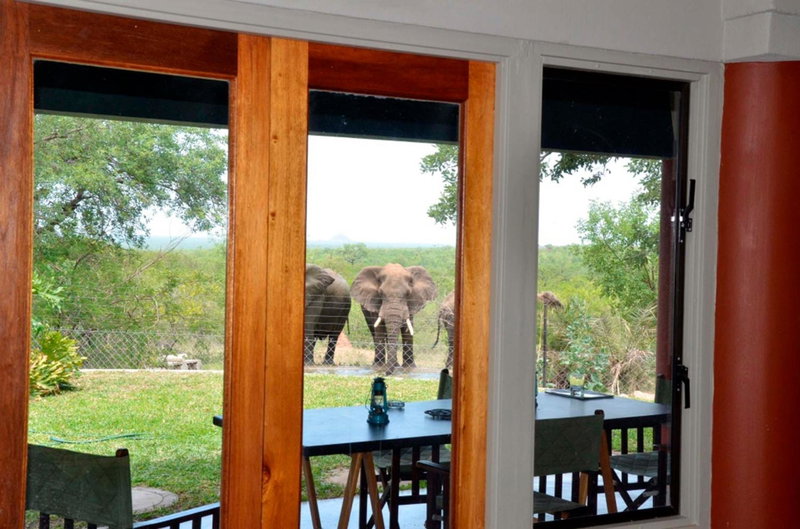 Tingala Lodge - Bed in the Bush, Phalaborwa, South Africa