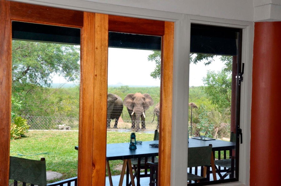 Tingala Lodge - Bed in the Bush, Phalaborwa, South Africa