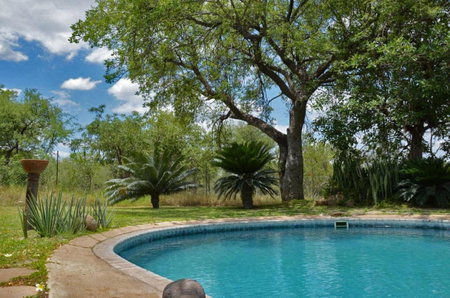 Tingala Lodge - Bed in the Bush, Phalaborwa, South Africa