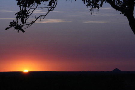 Tingala Lodge - Bed in the Bush, Phalaborwa, South Africa