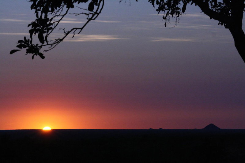 Tingala Lodge - Bed in the Bush, Phalaborwa, South Africa