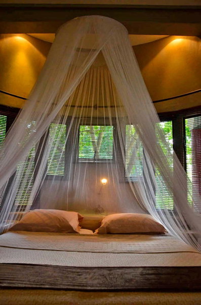 Tingala Lodge - Bed in the Bush, Phalaborwa, South Africa