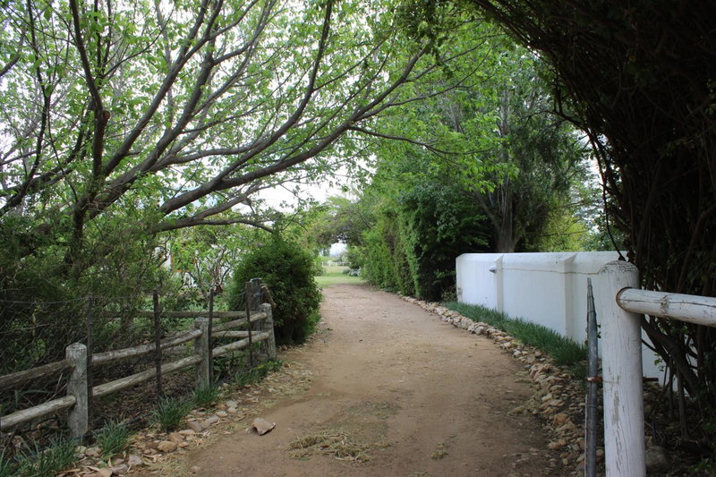Acacia Cottage, Prince Albert, South Africa