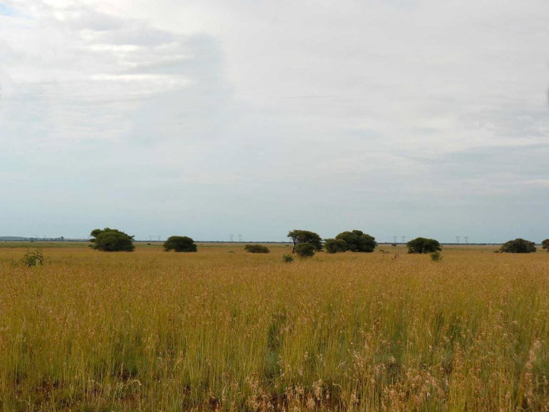 Camelot Estate Lodging, Kimberley, South Africa