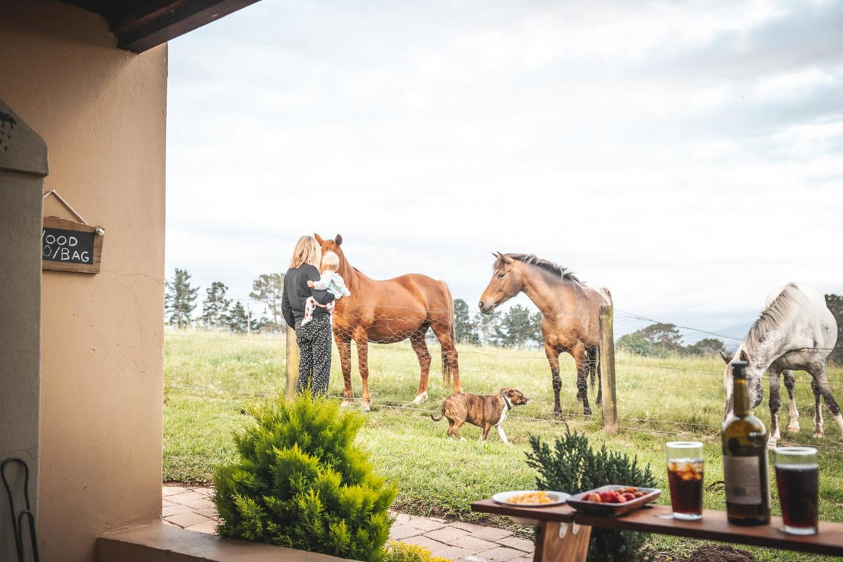 Hotel · Fernhill Guest Farm, Knysna