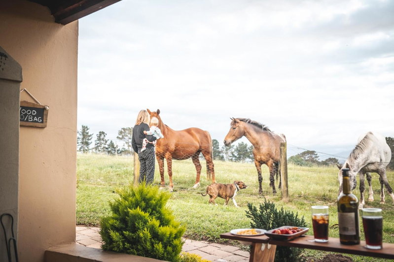 Fernhill Guest Farm, Knysna, South Africa