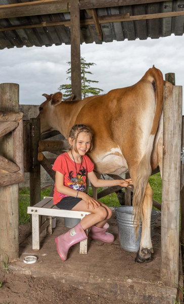 Fernhill Guest Farm, Knysna, South Africa