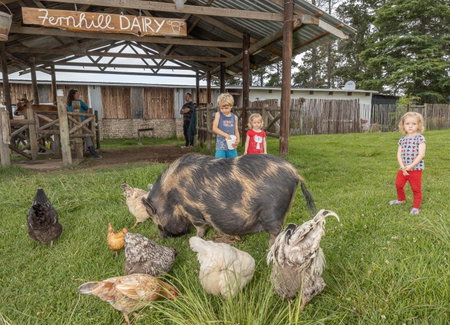 Fernhill Guest Farm, Knysna, South Africa