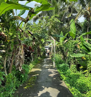 Parvati Retreat Villas, Ubud, Indonesia