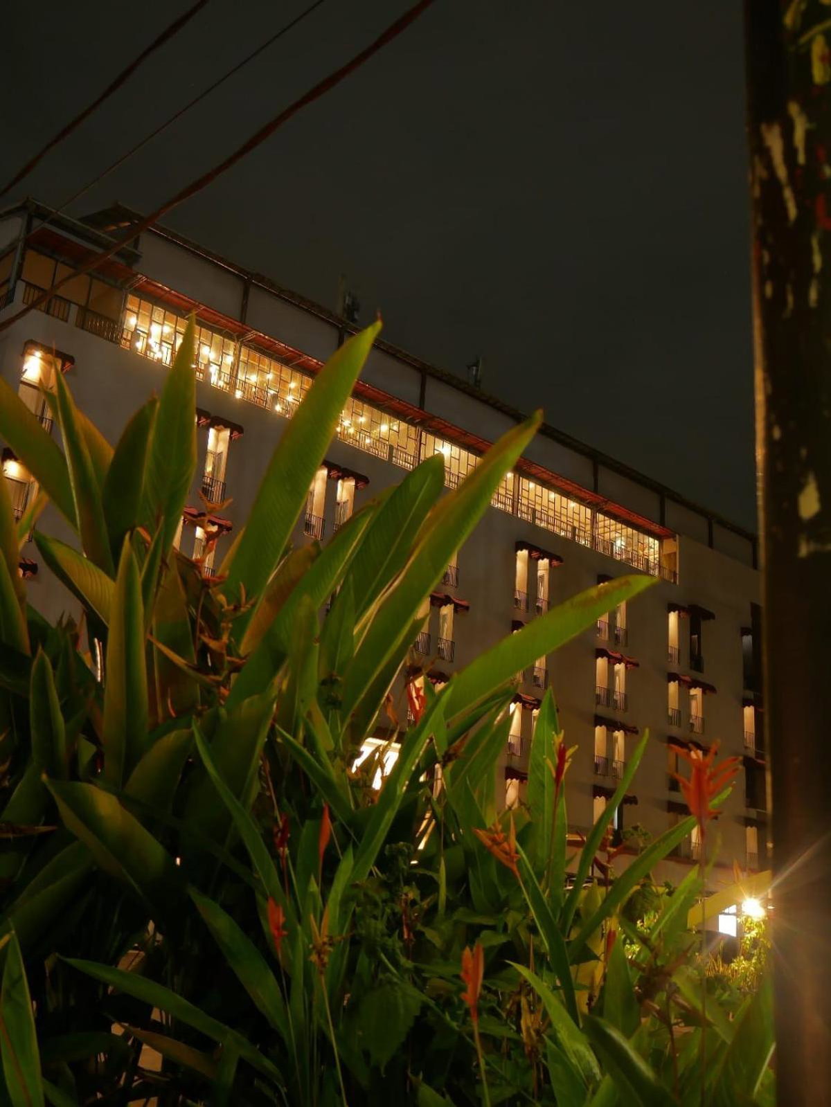 Hotel · Meotel Purwokerto, Purwokerto