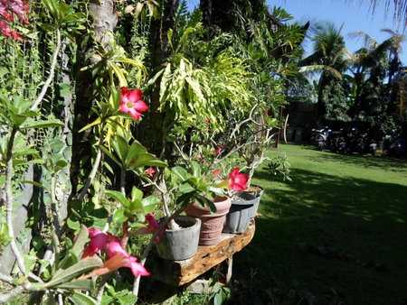 Bali Aman Darling House, Canggu, Indonesia