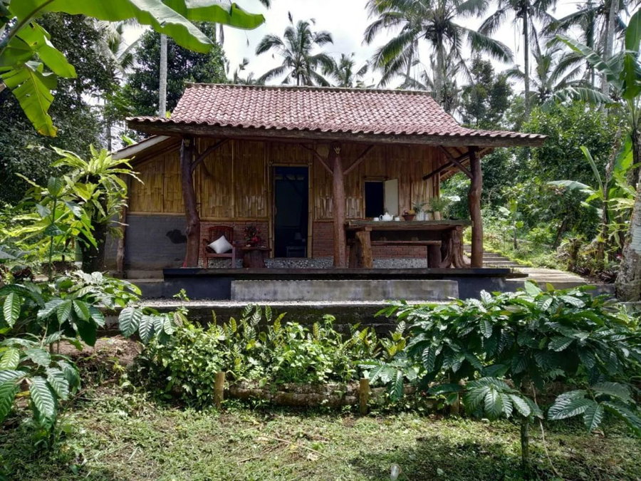 Bali mountain forest cabin, Penebel, Indonesia