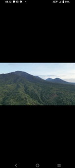 Bali mountain forest cabin, Penebel, Indonesia
