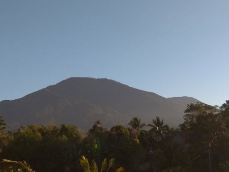 Bali mountain forest cabin, Penebel, Indonesia