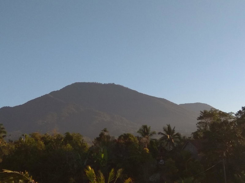 Bali mountain forest cabin, Penebel, Indonesia