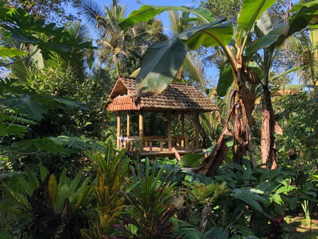 Bali mountain forest cabin, Penebel, Indonesia