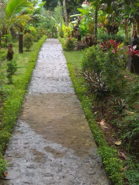 Bali mountain forest cabin, Penebel, Indonesia
