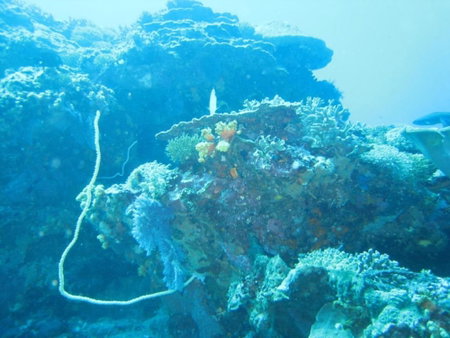 Kawans Inn Lembongan, Lembongan Island, Indonesia