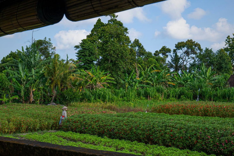 Oemah Joglo Bali, Ubud, Indonesia