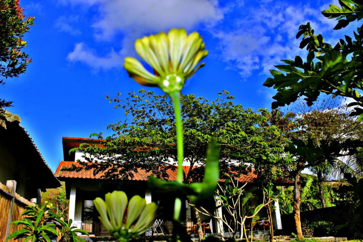 Hotel · Barrel Homestay Areguling, Kuta Lombok