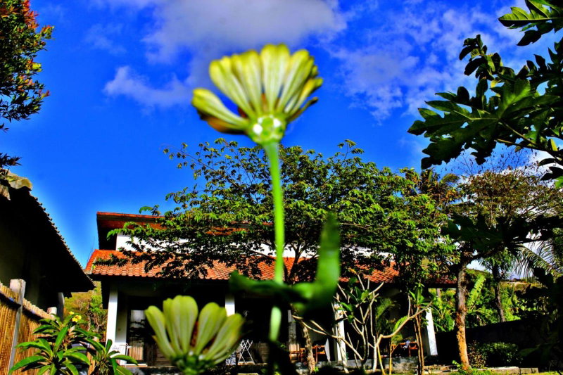 Barrel Homestay Areguling, Kuta Lombok, Indonesia
