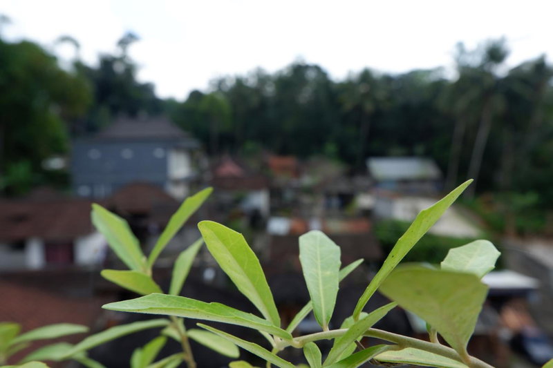 Ramaya Ubud View, Ubud, Indonesia