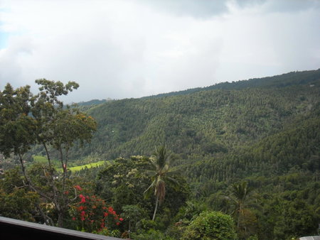 Jojo's Homestay and Warung, Munduk, Indonesia