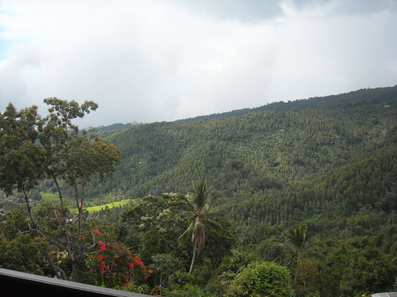 Jojo's Homestay and Warung, Munduk, Indonesia