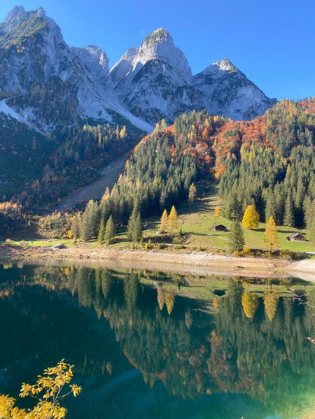Das Almsternderl - gemütliche Wohnung in Gosau, Gosau, Austria