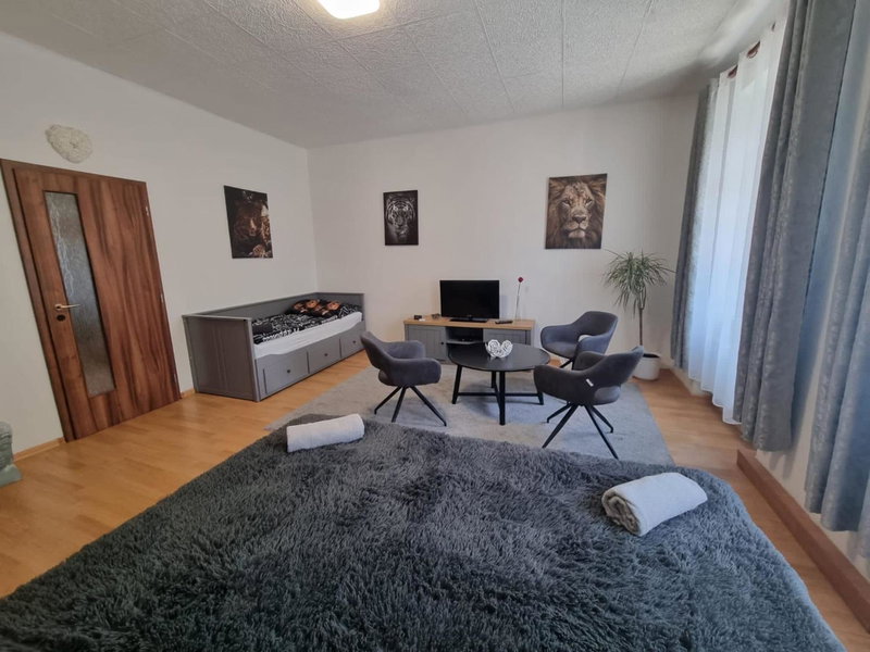 Černý Tulipán - Apartmán 1, Plzeň, Czechia