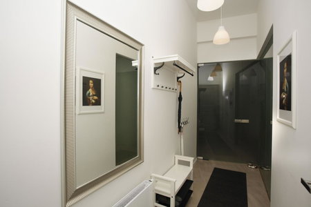 Luxury apartment Spálená, Prague, Czechia