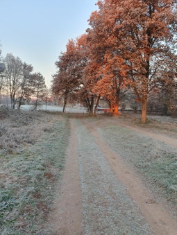 B&B Speulderveld, Ermelo, The Netherlands