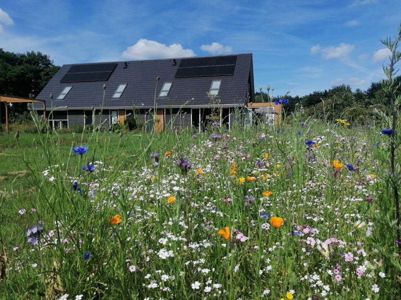 B&B Speulderveld, Ermelo, The Netherlands