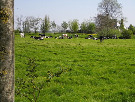 Vakantiehuisjes Marsherne, Poppingawier, The Netherlands
