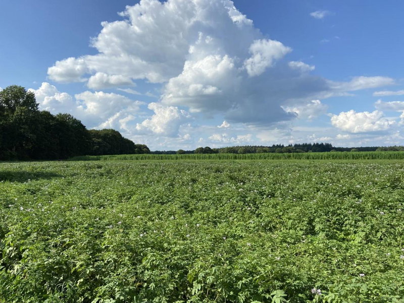 De Dennen, Odoorn, The Netherlands