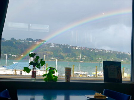 Harbourview Stadium Hotel, Dunedin, New Zealand