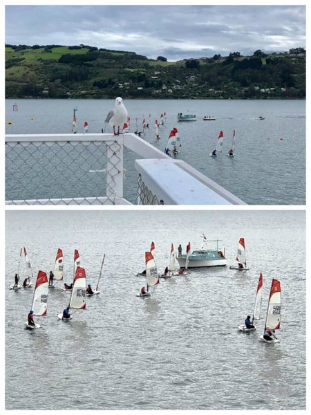 Harbourview Stadium Hotel, Dunedin, New Zealand