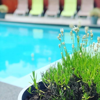 Juste à Côté, Maison de caractère avec piscine, Wanze, Belgium