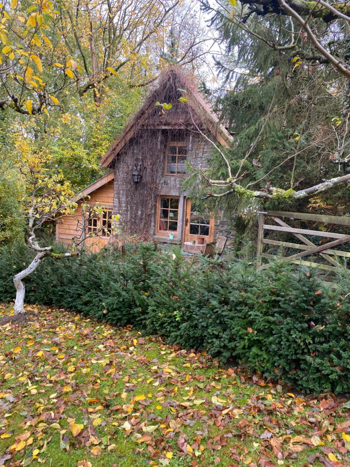 La Maisonnette des Hêtres Rouges, Belgium