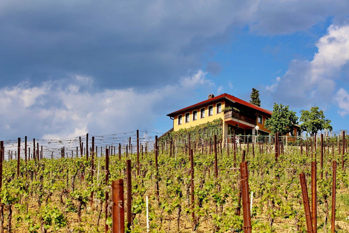Hotel · Wine Paradise, Sveti Ivan Zelina