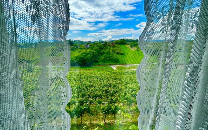 Wine Paradise, Sveti Ivan Zelina, Croatia