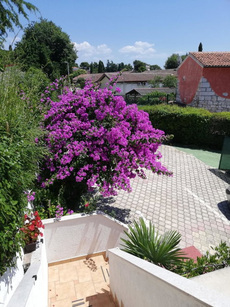 Apartments Poretti for 2,in Center Parking Free in the yard,6 min beach walk, Rovinj, Croatia